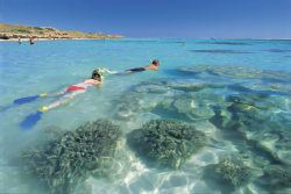 Snorkelling at Ningaloo Reef ©Tourism Western Australia
