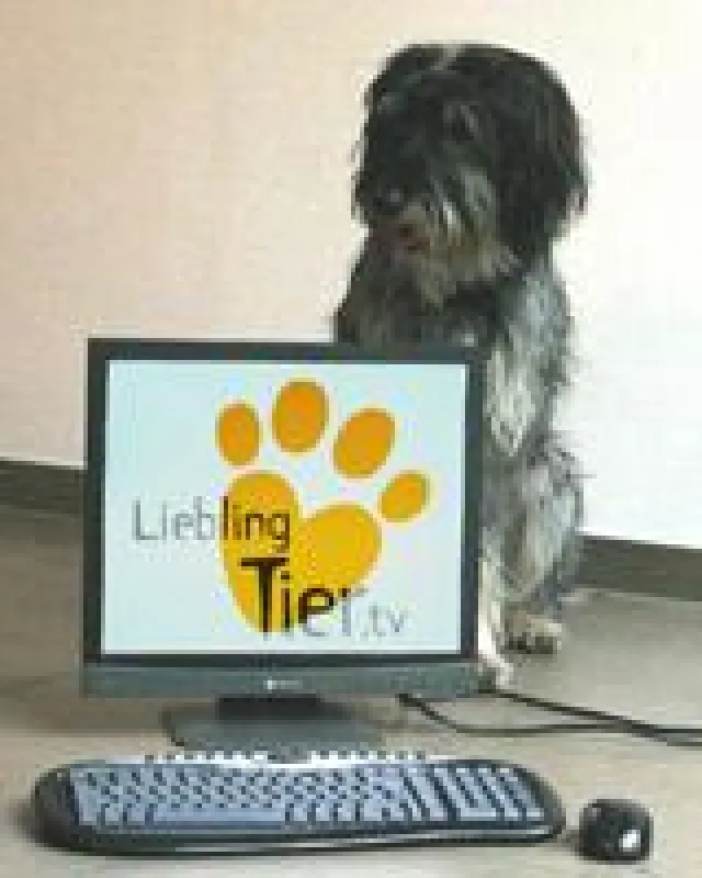 Tierische Unterhaltung im Internet - LieblingTier.tv