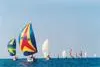 Bild: Segelregatta Jadrolana 2007 in Kroatien