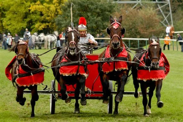 Bild: PM: Einmal im Leben im Ben Hur sein