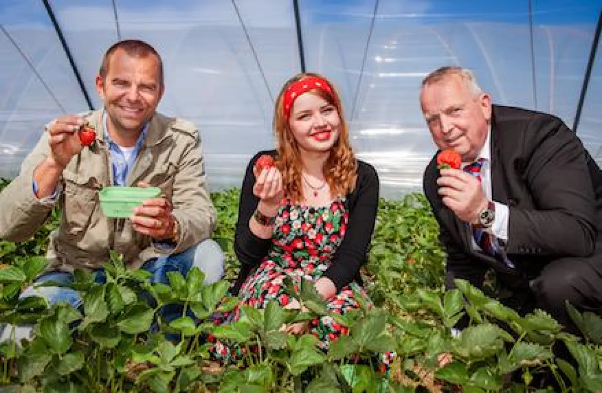 Robert Dahl, Till Backhaus und Karls Erdbeerprinzessin eröffnen Erdbeersaison (Karls Erdbeer-Hof)