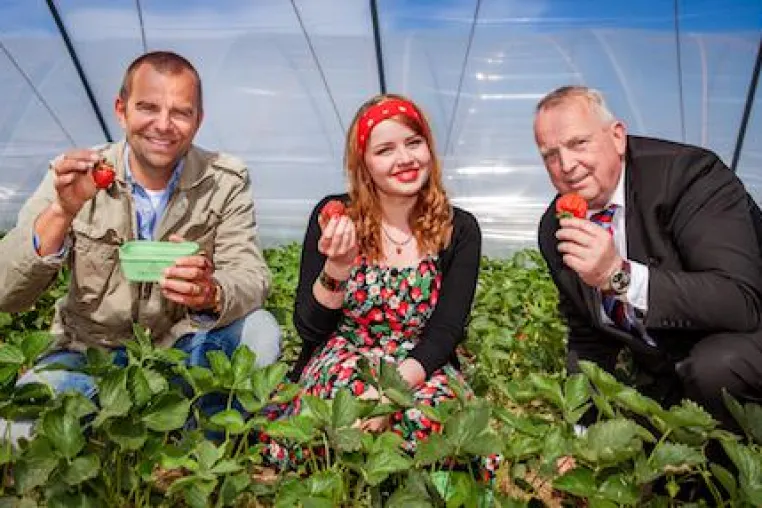 Karls eröffnet Erdbeersaison in Mecklenburg-Vorpommern Bild: Karls eröffnet Erdbeersaison in Mecklenburg-Vorpommern