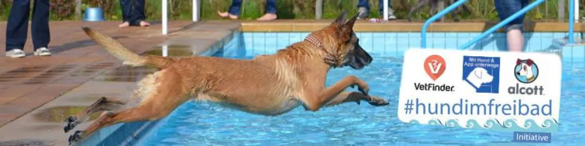 #hundimfreibad Alcott