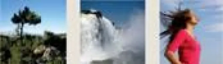 Bild: ZirbenLüfter - Die sanfte Brise ionisierter Zirbenluft