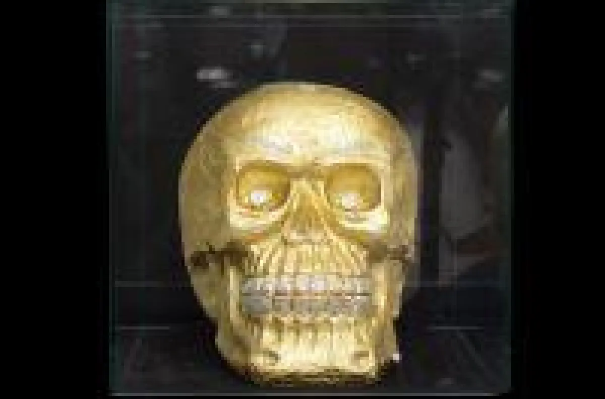 Goldener Totenkopf für einen prominenten Stardesigner
