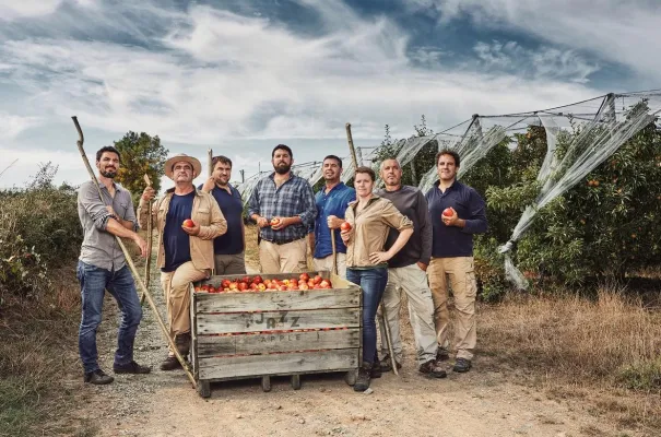 Bild: Neue europäische Apfelernte jetzt im Handel: JAZZ™ Apfel punktet mit Premium-Qualität und nachhaltigem Anbau!