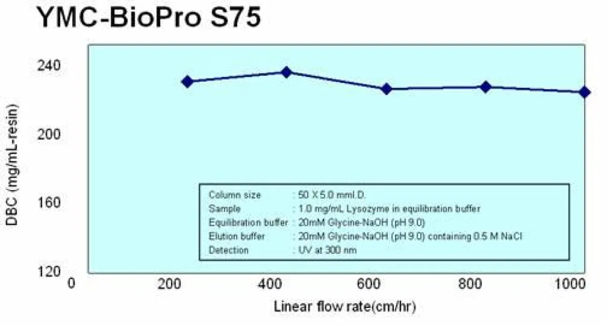 DBC abhängig von der Flußrate für Lysozyme auf YMC-BioPro 75 µm 100 nm Kationaustauscher-Material.