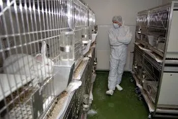 Studie belegt Tierleid im Labor: Keine Schmerzmittel nach OPs Bild: Studie belegt Tierleid im Labor: Keine Schmerzmittel nach OPs