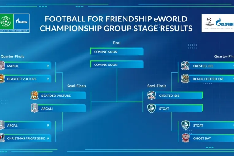 F4F eWorld Championship: Spieler aus über 200 Ländern treten in gemischten Mannschaften an Bild: F4F eWorld Championship: Spieler aus über 200 Ländern treten in gemischten Mannschaften an