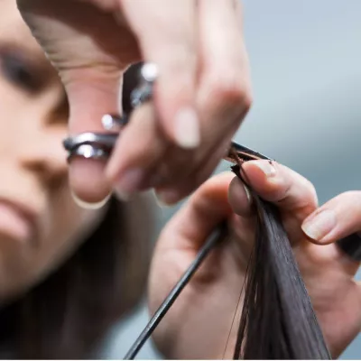 DIE BEWERBER ABHOLEN Bild: DIE BEWERBER ABHOLEN