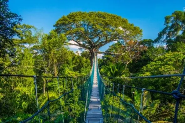 Bild: Perus wilder Amazonas