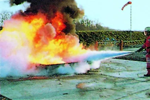 Bild: Schulungen zum/r Brandschutzbeauftragten und zum/r Brandschutzhelfer/in, vom 18. bis 22.11.2008