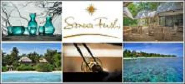 Bild: Scherben bringen Kunst