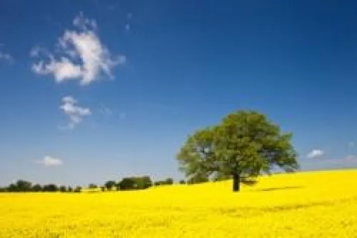 Bild: “Landschafts- und Makrofotografie in der Lübecker Bucht“ - Fotoschnupperkurs