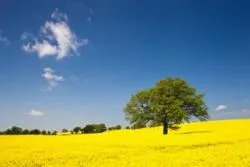 Bild: “Landschafts- und Makrofotografie in der Lübecker Bucht“ - Fotoschnupperkurs