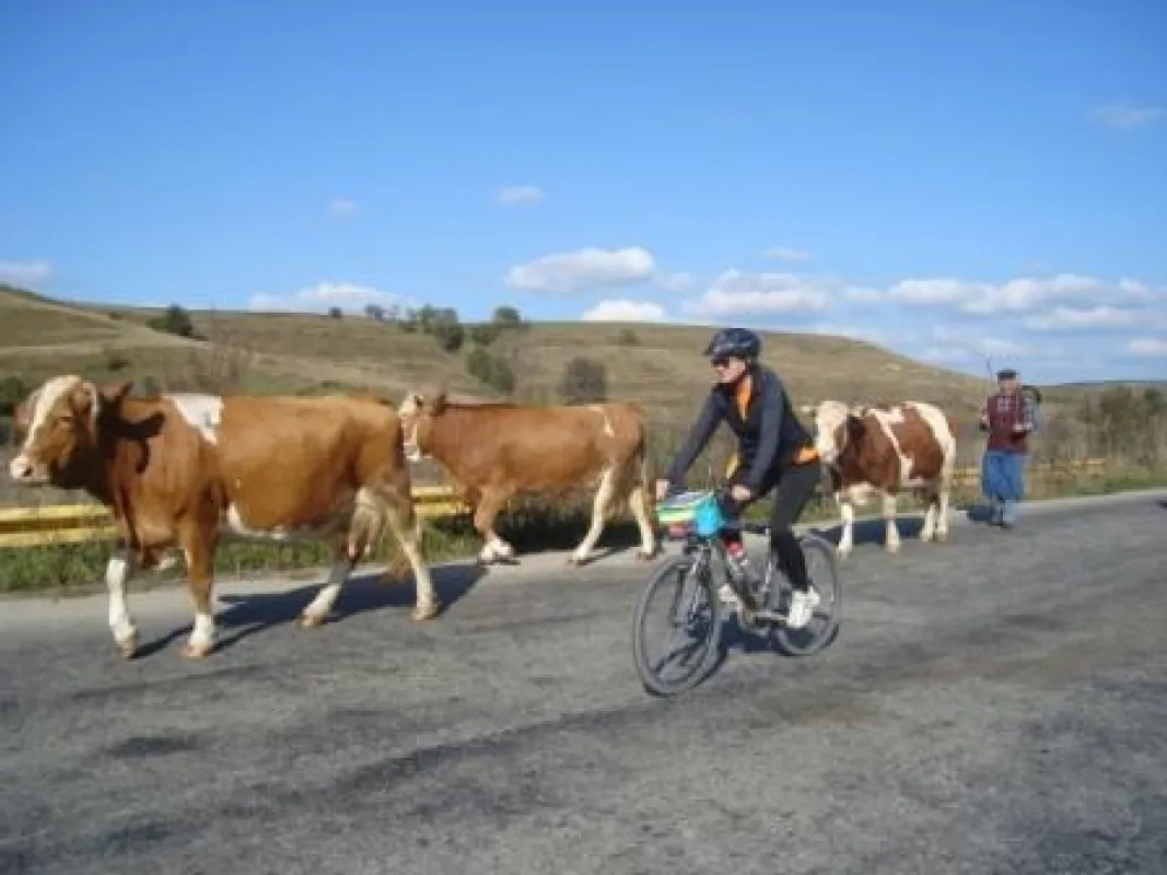 Foto: Radissimo - Active holidays