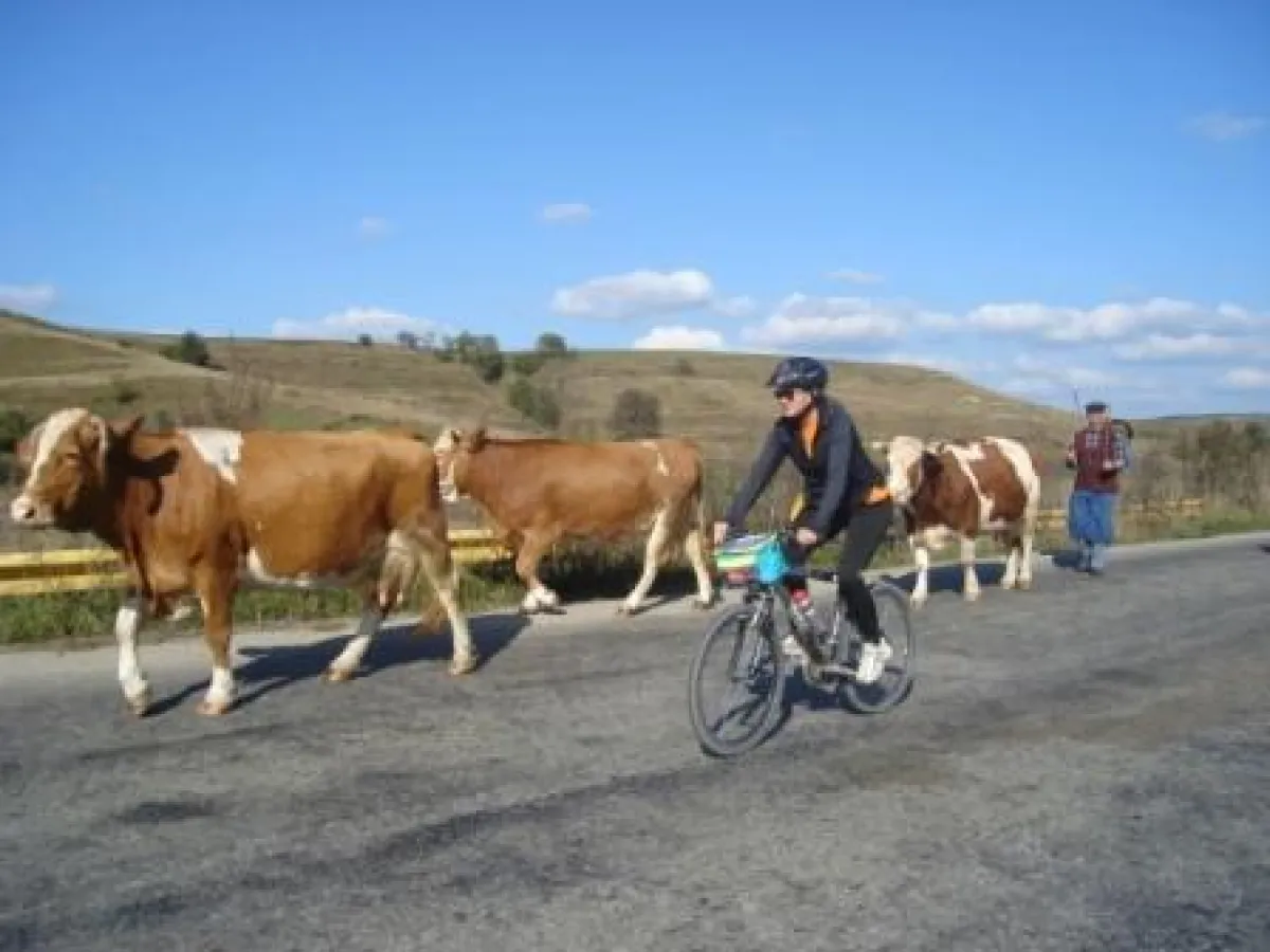 Foto: Radissimo - Active holidays