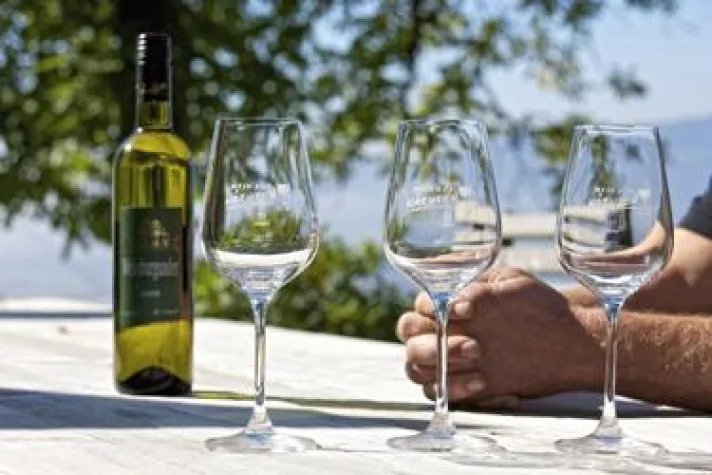 Bild: Die Renaissance des Kärntner Weins