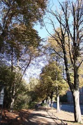 Wohin mit Laub & Schnee: Haus- und Grundstückseigentümer sollten sich schnell auf Herbst & Winter vorbereiten Bild: Wohin mit Laub & Schnee: Haus- und Grundstückseigentümer sollten sich schnell auf Herbst & Winter vorbereiten