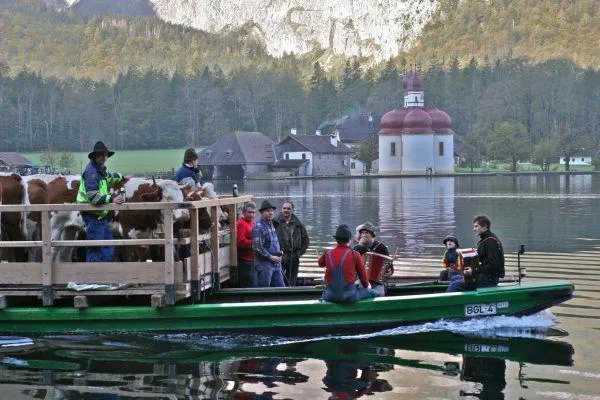 Bild: Der Königssee ruft: Almabtrieb mit Bootstransfer und majestätischem Empfang