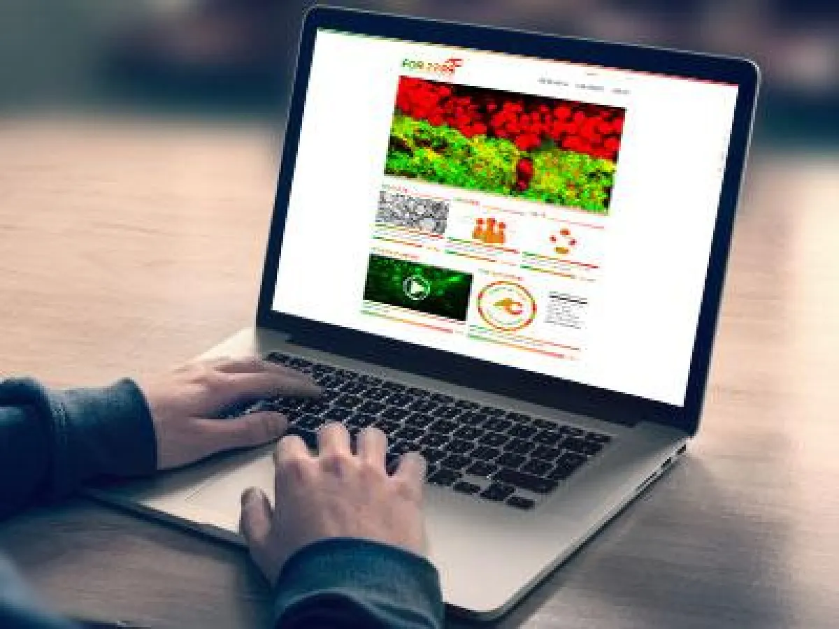 Moderne Website für die Wissenschaft.