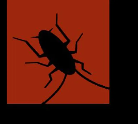 Bild: Neue Bücher bei Periplaneta