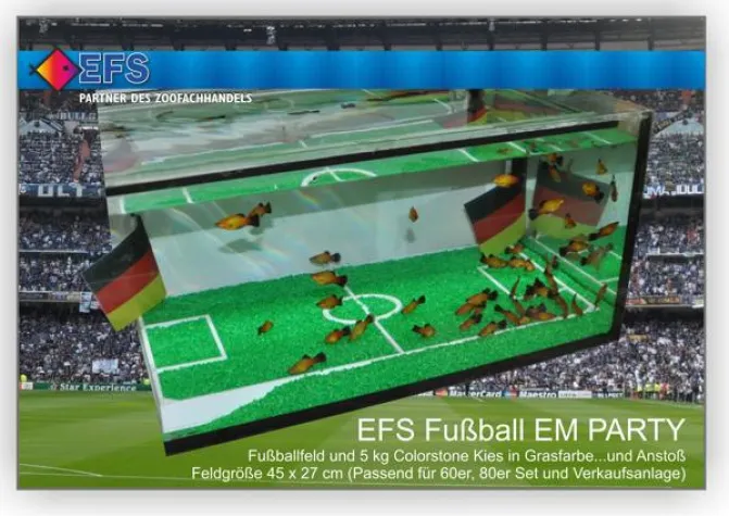 EFS startet die Fußball EM Party unter Wasser Bild: EFS startet die Fußball EM Party unter Wasser