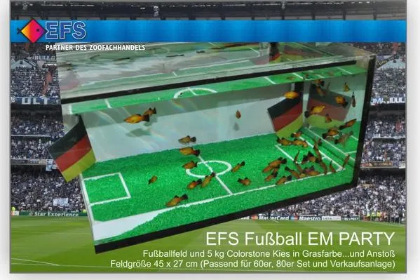 Bild: EFS startet die Fußball EM Party unter Wasser