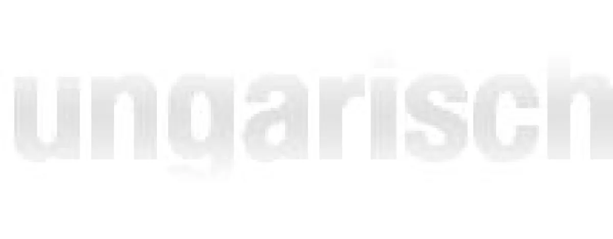 ungarisch-deutsch Übersetzungen