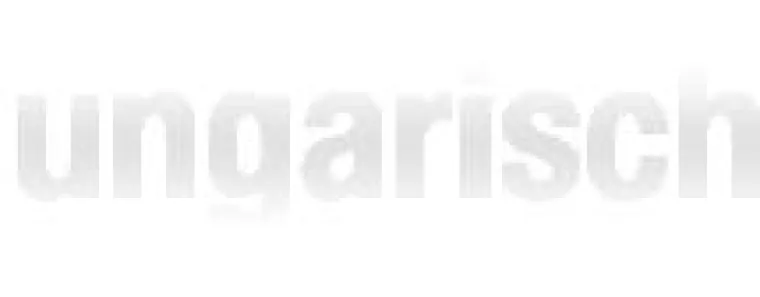 Übersetzungen: Neueste Technik im Übersetzungsbüro Bild: Übersetzungen: Neueste Technik im Übersetzungsbüro