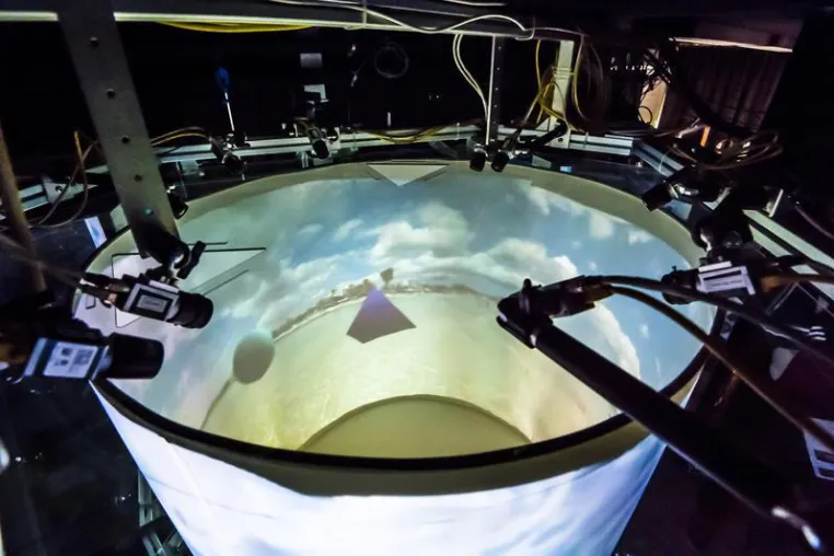 Bild: Wenn der Fisch im Holodeck schwimmt