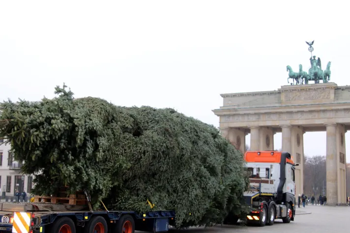 Bild: Alle Jahre wieder: Universal Transport bringt Weihnachtsbaum sicher ans Brandenburger Tor