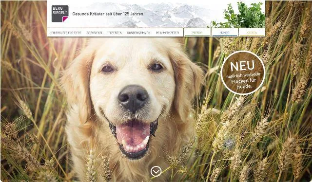 Bild: Ausgewogen und natürlich: Bergsiegel erweitert das Sortiment für Hunde, Pferde und Katzen