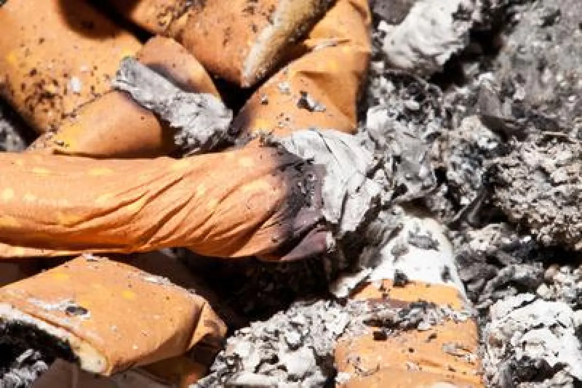 Bild: Sara Hegewald  / pixelio.de