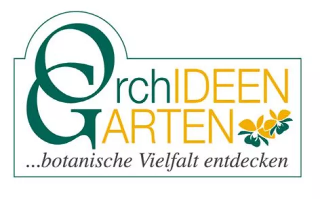 Bild: Orchideenschau in der St. Annen Galerie in Brandenburg/Havel