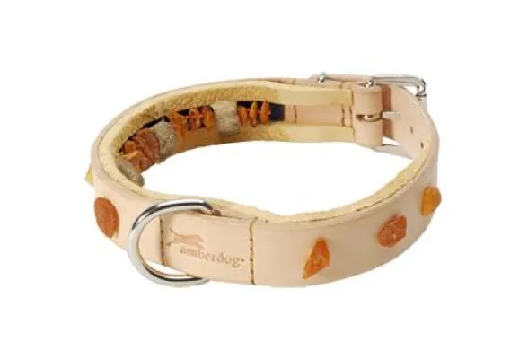 Bild: Vorsicht - Herbstzeit ist Zeckenzeit - Bernstein gegen Zecken bei Hunden von Amberdog®