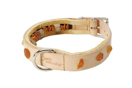 Vorsicht - Herbstzeit ist Zeckenzeit - Bernstein gegen Zecken bei Hunden von Amberdog® Bild: Vorsicht - Herbstzeit ist Zeckenzeit - Bernstein gegen Zecken bei Hunden von Amberdog®