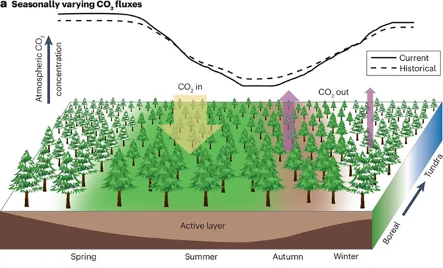 Bild: Der „Atem“ der Erde wird extremer