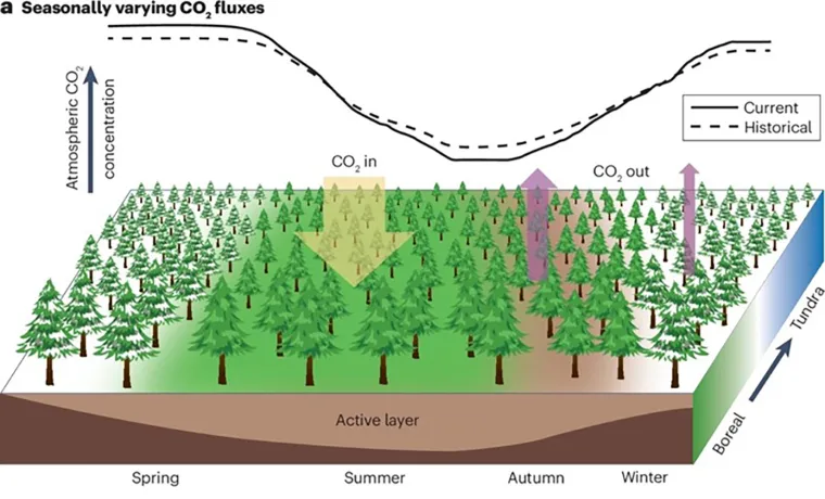 Bild: Der „Atem“ der Erde wird extremer