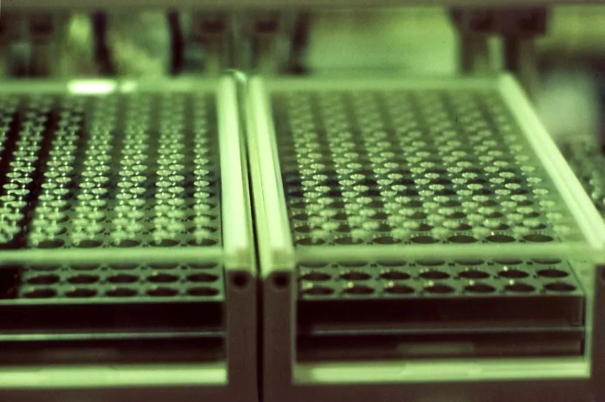 Bayer Bitterfeld by HITCH