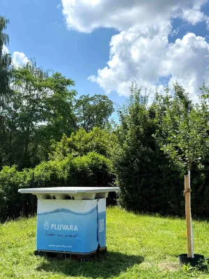 Bild: Pilotprojekt in Gießen: Regenwasser statt Trinkwasser für die Stadtbegrünung