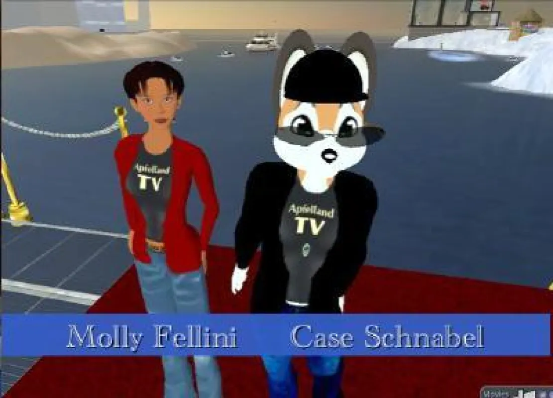 Die Avatare Molly und Case führen durch das virtuelle  Land Second Life