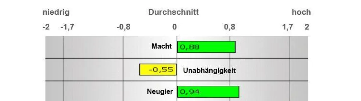 go2top.de - Manuel Marsch bietet jetzt Reiss Profil-Analyse