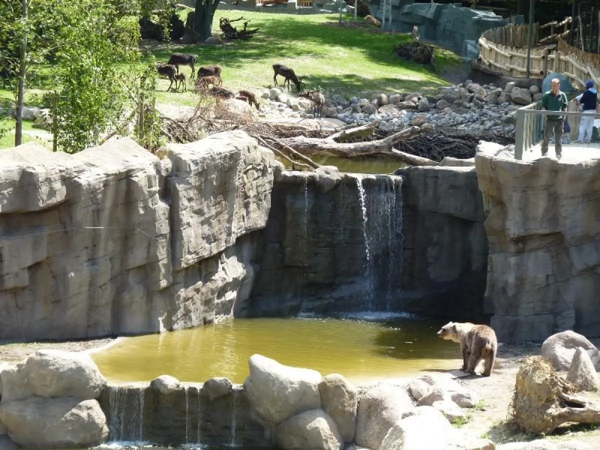 Kajanaland im Zoo Osnabrück: Die neue nordische Landschaft mit Baumhöhenpfad eröffnet am 8. Juli.