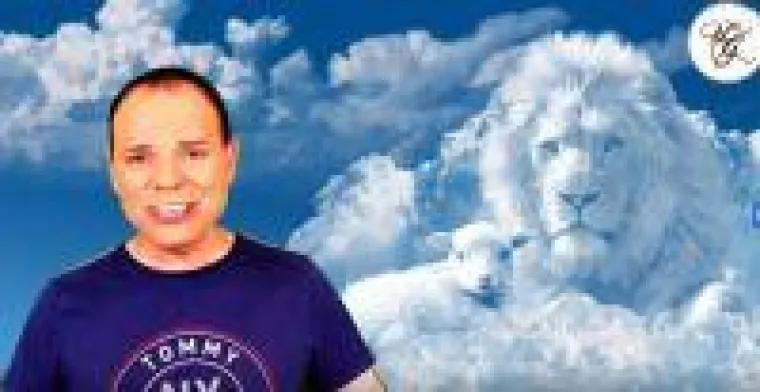 Bild: Was genau versteht man unter einer Rückführung und welchen Nutzen hat sie?