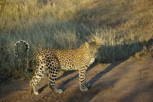 Bild: Hoffnung für Simbabwe