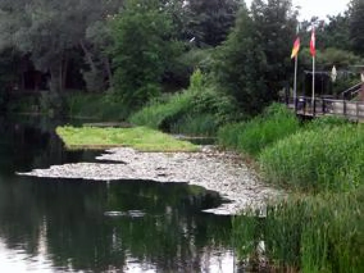 Der Waldsee in Krefeld-Uerdingen: Die Unterwasserwurzeln einer schwimmenden Insel bieten Jungfischen jetzt neuen Lebensraum