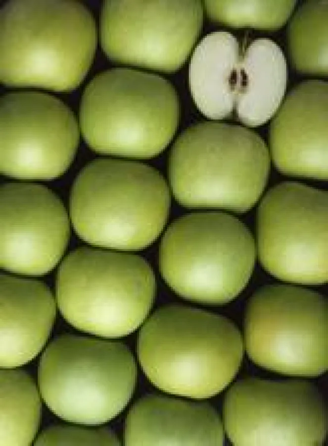 Innere Werte bestimmen das Äußere