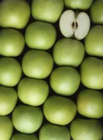 Bild: Brauchen KMU Unternehmensleitbilder?