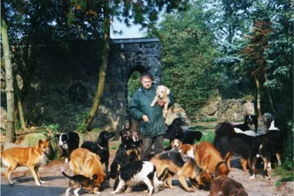 Bild: Vierbeiner mit einer ungewöhnlichen Geschichte: Die Schifamhunde aus dem Westerwald